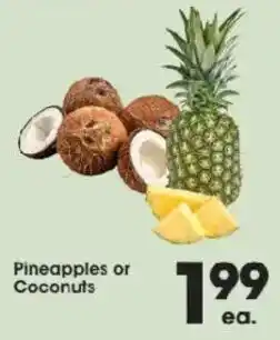 Pineapples or Coconuts