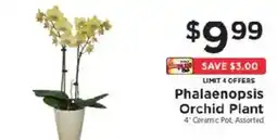 ShopRite Phalaenopsis Orchid Plant offer