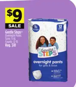 Dollar General Gentle Steps Overnight Pants Sizes: S-XL Counts: 12-15 offer