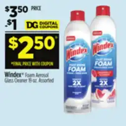 Dollar General Windex Foam Aerosol Glass Cleaner offer