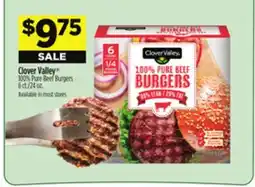 Dollar General Clover Valley 100% Pure Beef Burgers offer