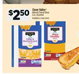 Dollar General Clover Valley Natural Cheese Slices offer