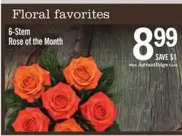 Price Chopper 6-Stem Rose of the Month offer