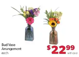 Family Fresh Market Bud Vase Arrangement offer