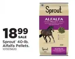 Mills Fleet Farm Sprout alfalfa pellets offer