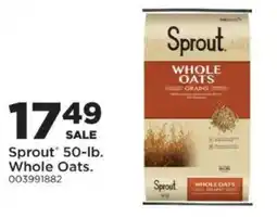 Mills Fleet Farm Sprout whole oats offer