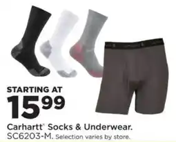 Mills Fleet Farm Carhartt Socks & Underwear offer