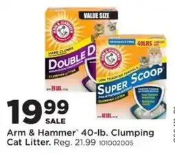 Mills Fleet Farm Arm & Hammer 40-lb. Clumping Cat Litter offer