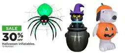 Mills Fleet Farm Halloween Inflatables offer