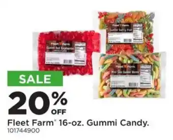 Fleet Farm gummi candy