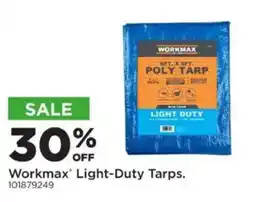 Mills Fleet Farm Workmax Light-Duty Tarps offer