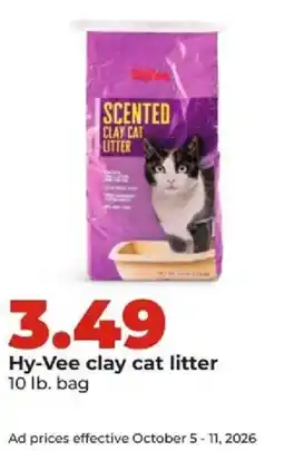 Hy-Vee Hy-Vee clay cat litter offer