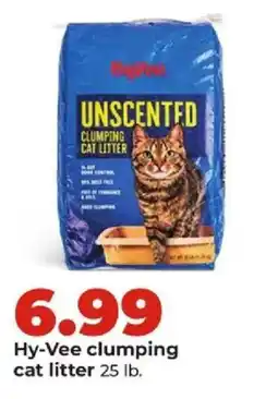 Hy-Vee Hy-Vee clumping cat litter offer