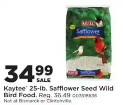 Mills Fleet Farm Kaytee safflower seed wild bird food offer