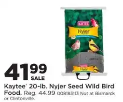 Mills Fleet Farm Kaytee nyjer seed wild bird food offer