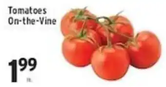 Tomatoes On-the-Vine
