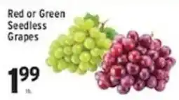 Associated Red or Green Seedless Grapes offer
