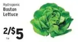 Associated Hydroponic Boston Lettuce offer