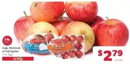 Family Fare Our Family Gala, McIntosh or Fuji Apples offer