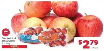 Our Family Gala, McIntosh or Fuji Apples