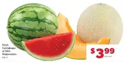 Family Fare Fresh Cantaloupe or Mini Watermelon offer