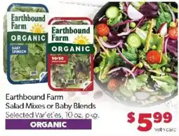 Family Fare Earthbound Farm Salad Mixes or Baby Blends offer