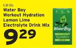 Hannaford Water Boy Workout Hydration Electrolyte Drink Mix offer