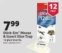 Rural King Stick-em Mouse & Insect Glue Trap offer