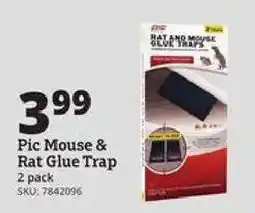 Rural King Pic Mouse & Rat Glue Trap offer