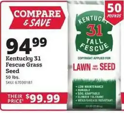 Rural King Kentucky 31 Fescue Grass Seed offer