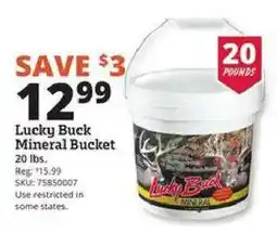 Rural King Lucky Buck Mineral Bucket offer