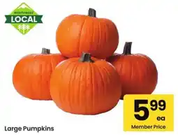 Albertsons Large Pumpkins offer