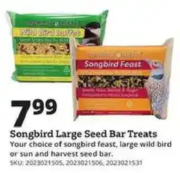 Rural King Songbird Large Seed Bar Treats offer