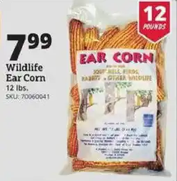 Rural King Wildlife Ear Corn offer