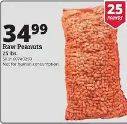 Rural King Raw Peanuts offer