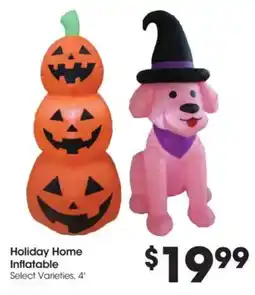 Food 4 Less Holiday Home Inflatable offer