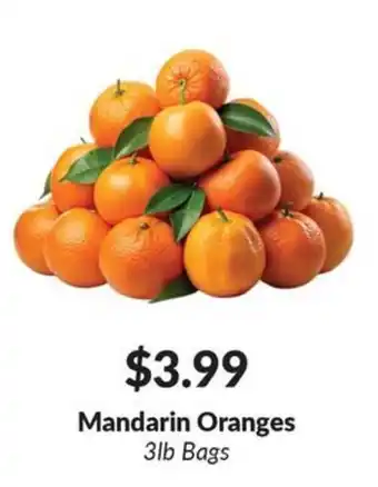 Mandarin Oranges