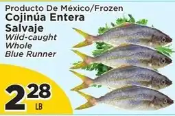 Presidente Frozen whole blue runner offer