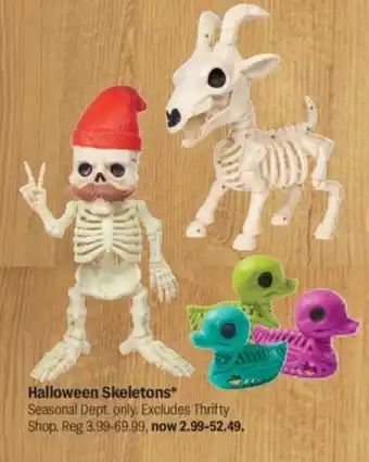 Halloween Skeletons