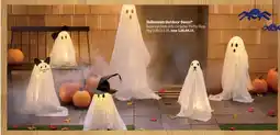 Meijer Halloween Outdoor Décor offer