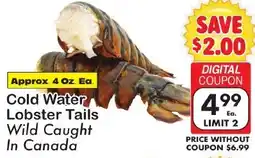 Fairplay Cold Water Lobster Tails offer