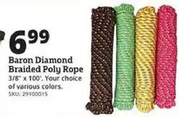 Rural King Baron Diamond Braided Poly Rope offer