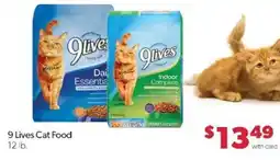 Family Fare 9 Lives Cat Food offer