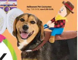 Meijer Halloween Pet Costumes offer