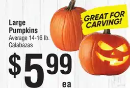 Smart & Final Large Pumpkins offer