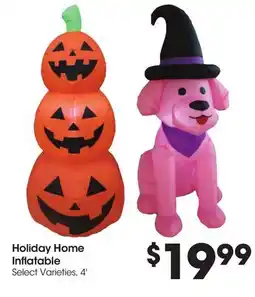 Food 4 Less Holiday Home Inflatable offer