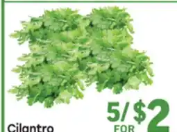 Tony’s Fresh Market Cilantro offer