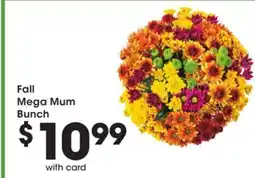 Mariano's Fall Mega Mum Bunch offer