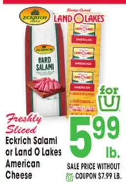 Jewel-Osco Eckrich Salami or Land O Lakes American Cheese offer