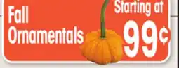 Jewel-Osco Fall Ornamentals offer